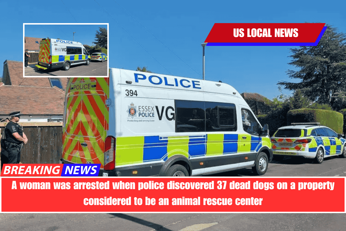A woman was arrested when police discovered 37 dead dogs on a property considered to be an animal rescue center