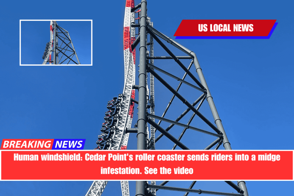 Human windshield Cedar Point's roller coaster sends riders into a midge infestation. See the video