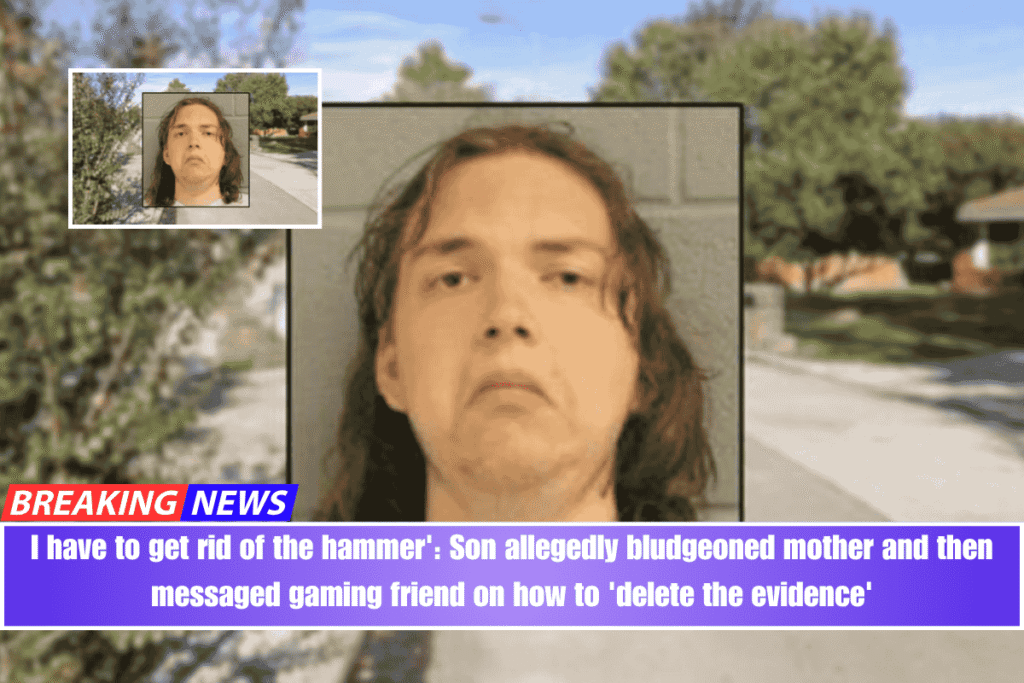 I have to get rid of the hammer' Son allegedly bludgeoned mother and then messaged gaming friend on how to 'delete the evidence'