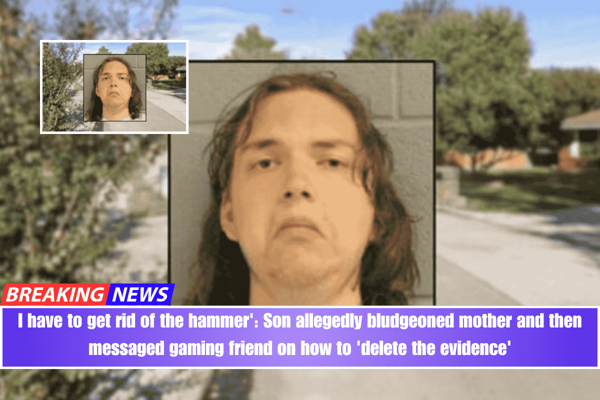 I have to get rid of the hammer' Son allegedly bludgeoned mother and then messaged gaming friend on how to 'delete the evidence'