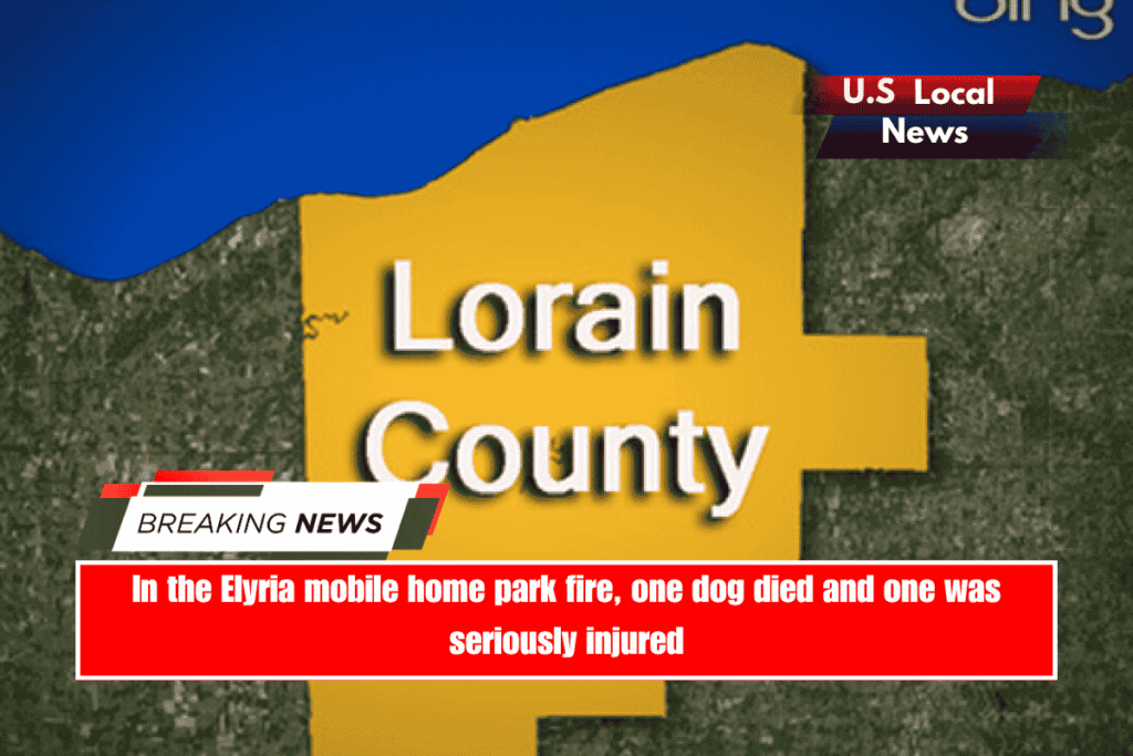 In the Elyria mobile home park fire, one dog died and one was seriously injured