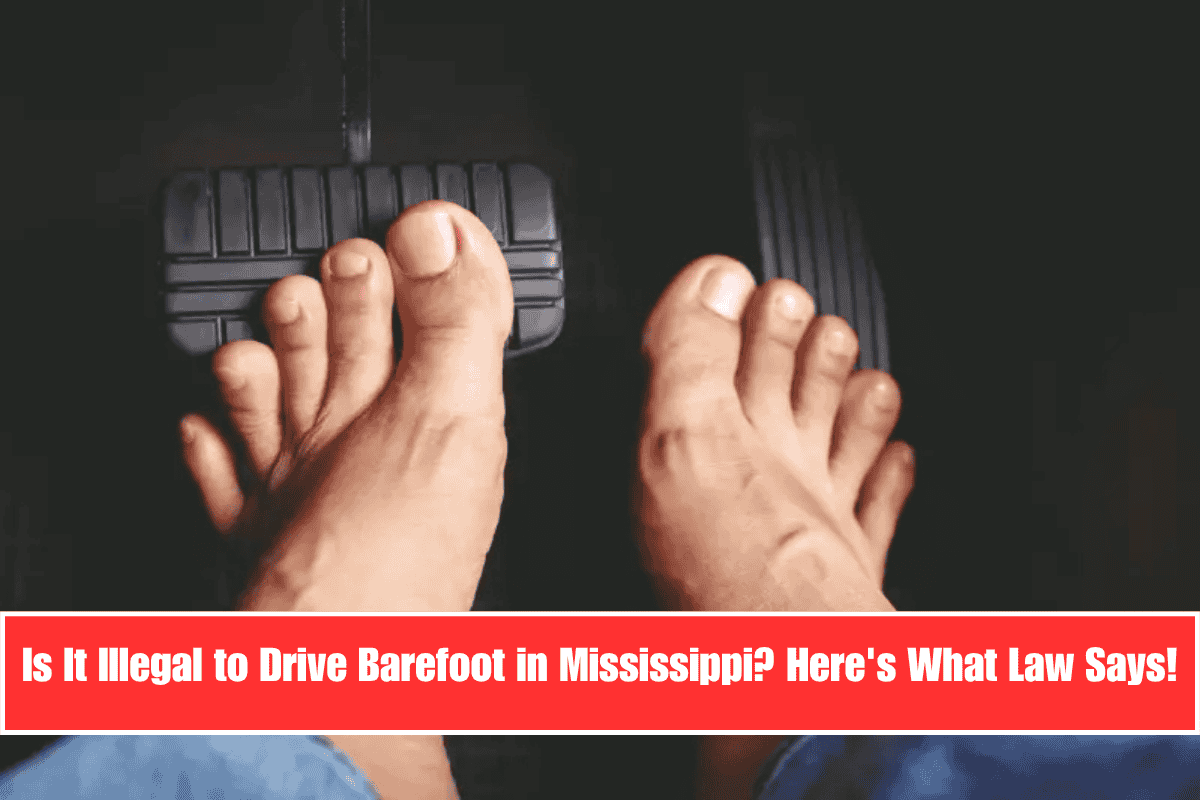 Is It Illegal to Drive Barefoot in Mississippi Here's What Law Says!