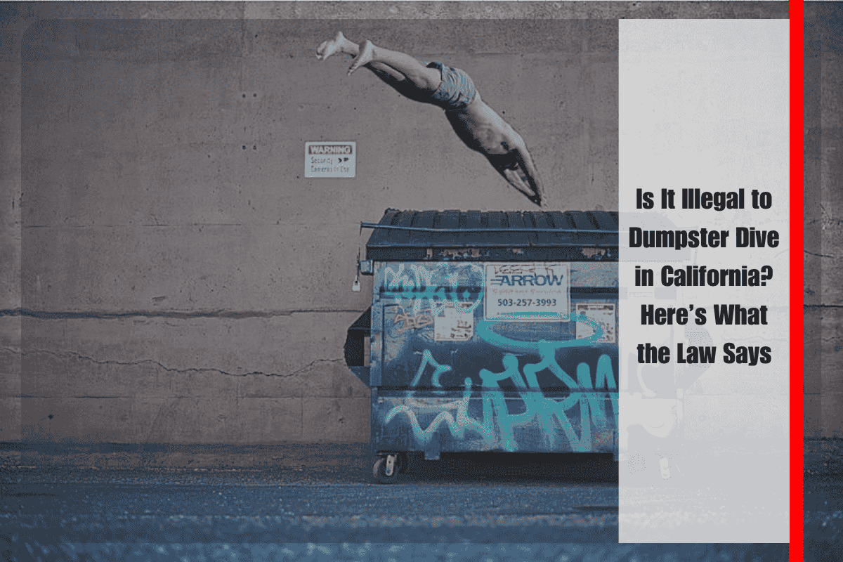 Is It Illegal to Dumpster Dive in California Here’s What the Law Says