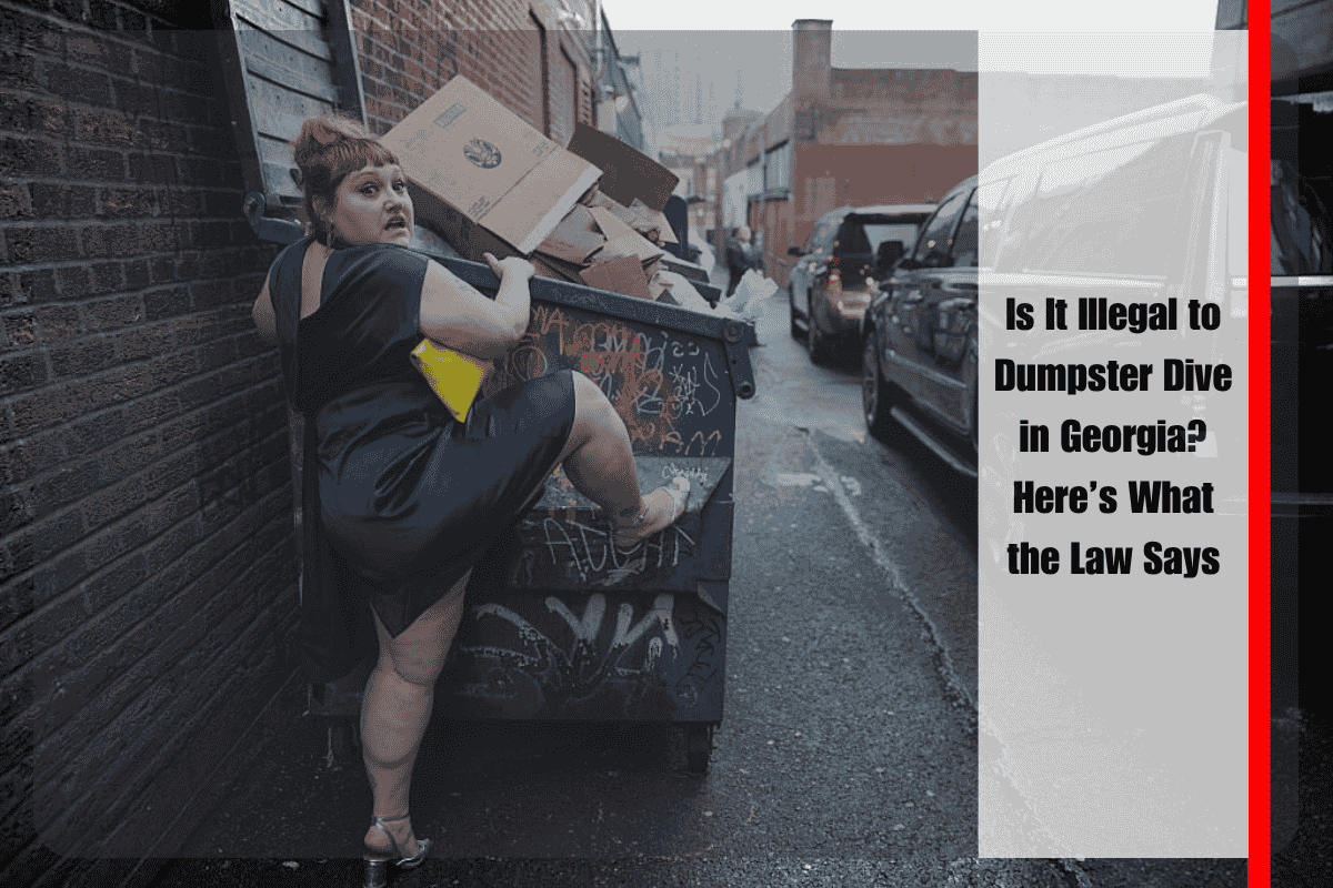 Is It Illegal to Dumpster Dive in Georgia Here’s What the Law Says