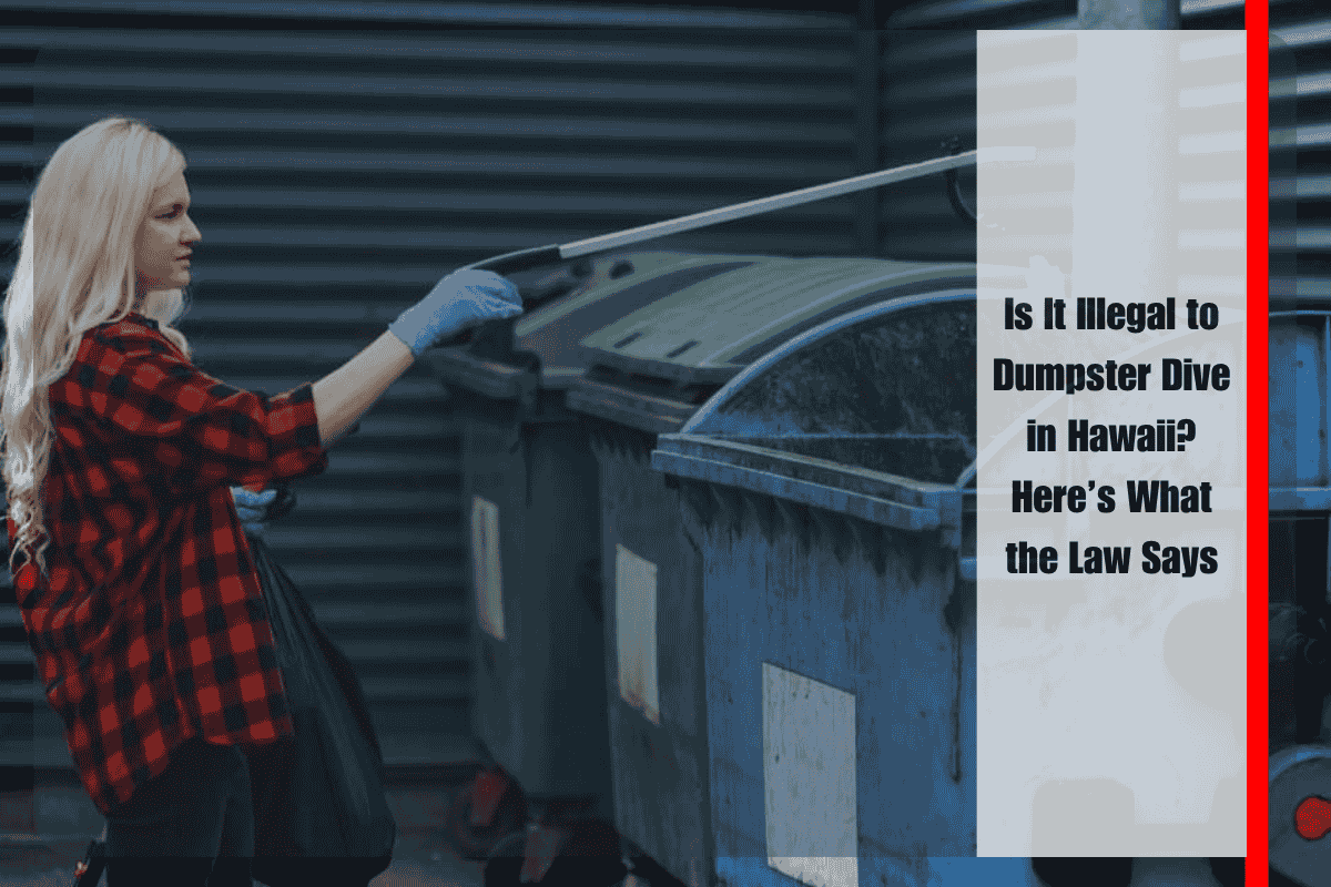 Is It Illegal to Dumpster Dive in Hawaii Here’s What the Law Says