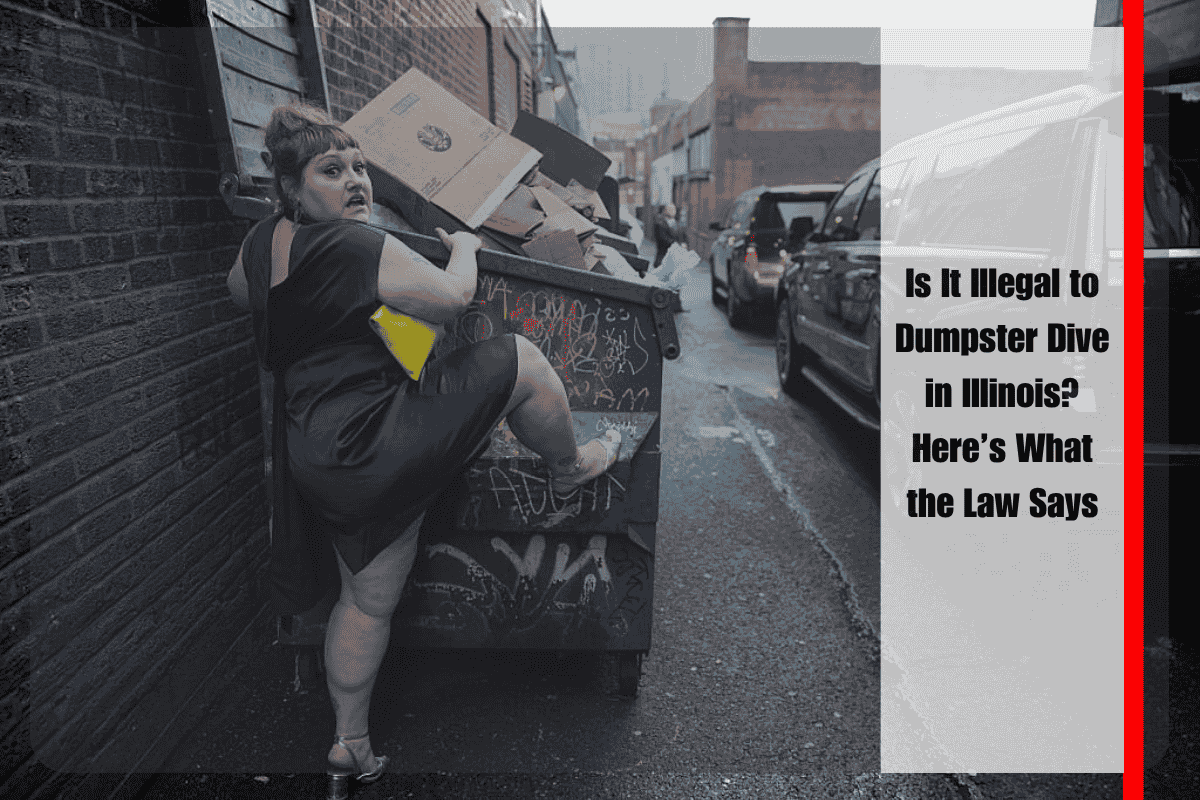 Is It Illegal to Dumpster Dive in Illinois Here’s What the Law Says