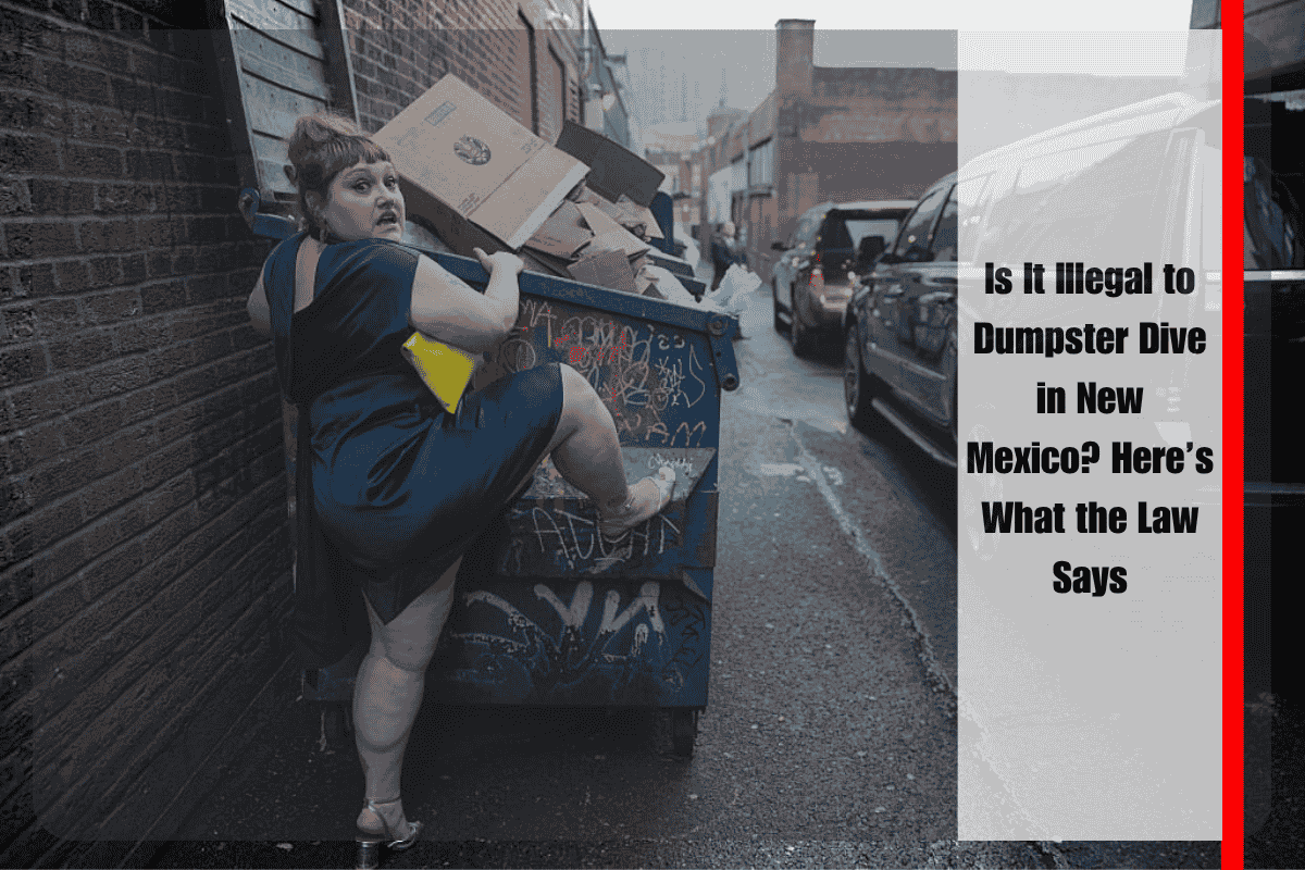 Is It Illegal to Dumpster Dive in New Mexico Here’s What the Law Says