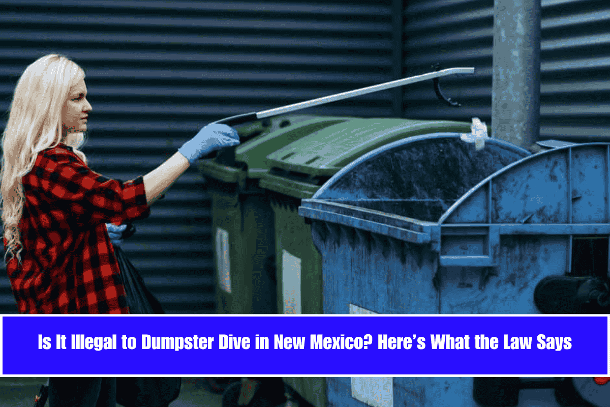 Is It Illegal to Dumpster Dive in New Mexico Here’s What the Law Says