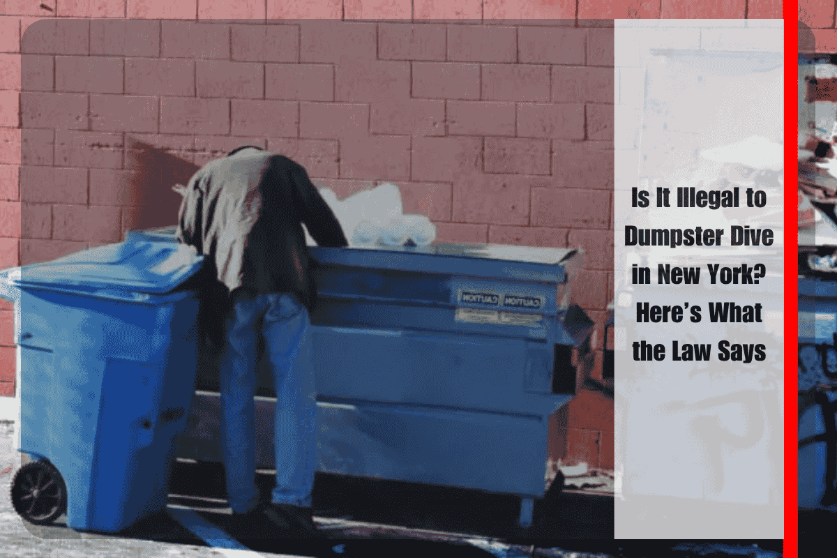Is It Illegal to Dumpster Dive in New York Here’s What the Law Says