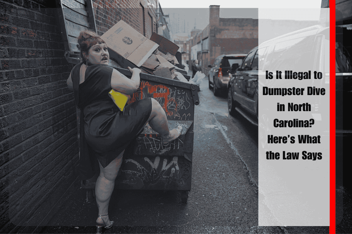 Is It Illegal to Dumpster Dive in North Carolina Here’s What the Law Says