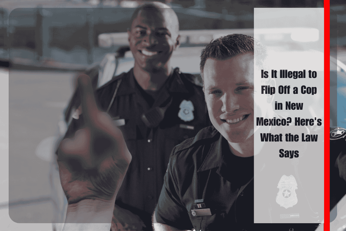 Is It Illegal to Flip Off a Cop in New Mexico Here's What the Law Says