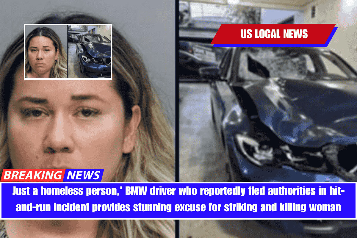 Just a homeless person,' BMW driver who reportedly fled authorities in hit-and-run incident provides stunning excuse for striking and killing woman