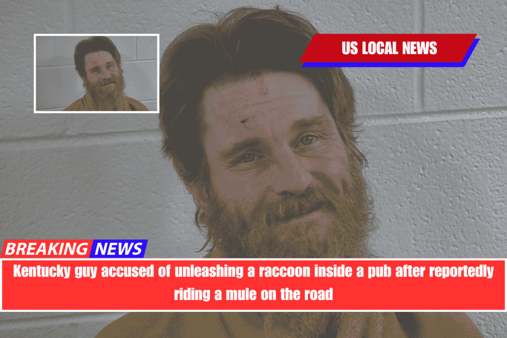 Kentucky guy accused of unleashing a raccoon inside a pub after reportedly riding a mule on the road
