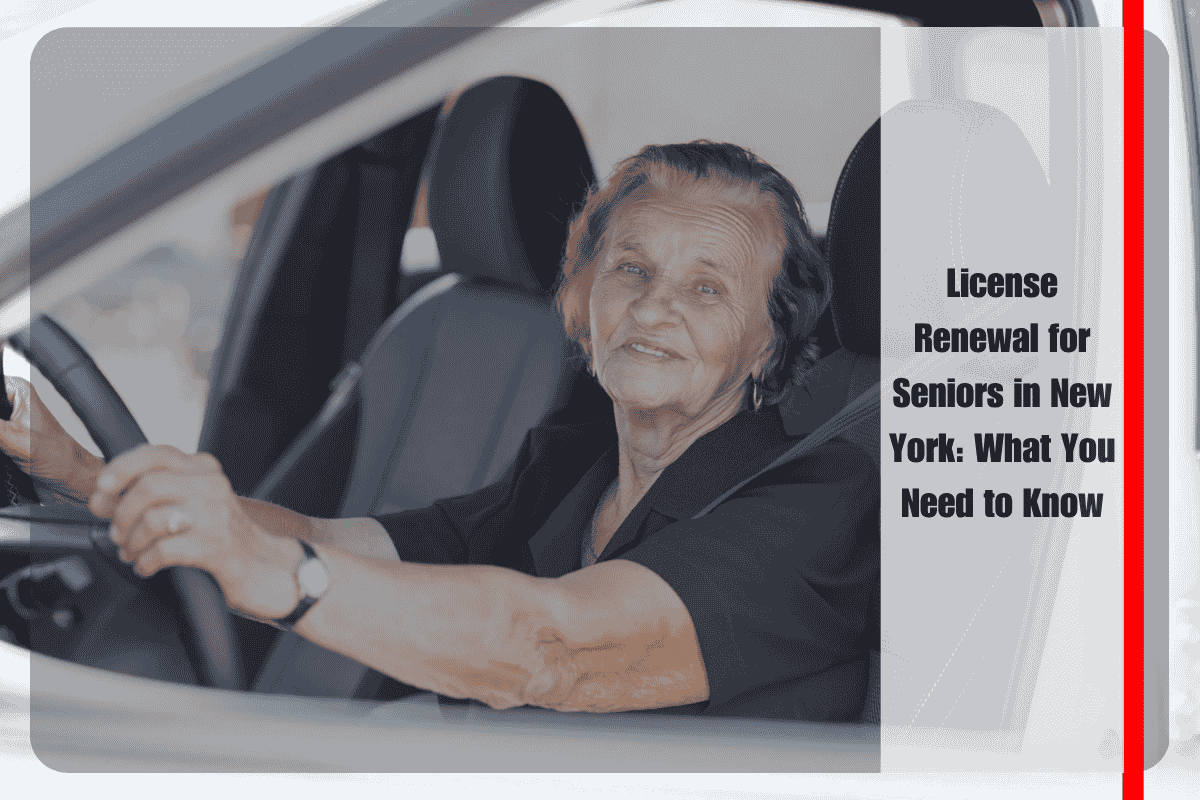 License Renewal for Seniors in New York What You Need to Know