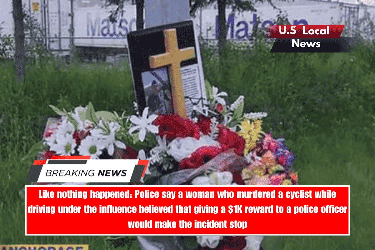 Like nothing happened Police say a woman who murdered a cyclist while driving under the influence believed that giving a $1K reward to a police officer would make the incident stop
