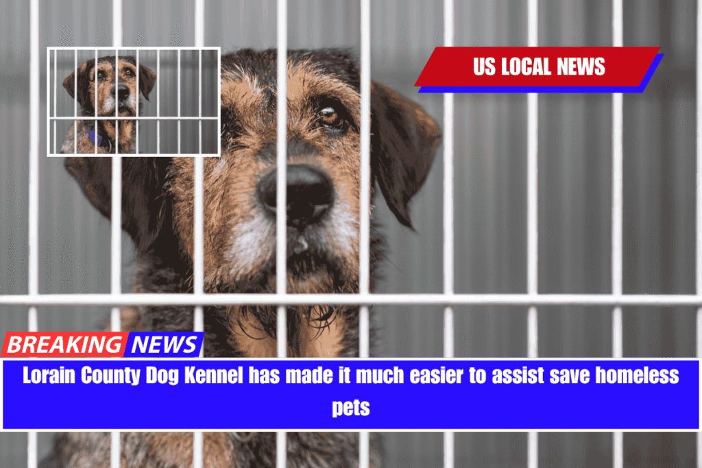 Lorain County Dog Kennel has made it much easier to assist save homeless pets