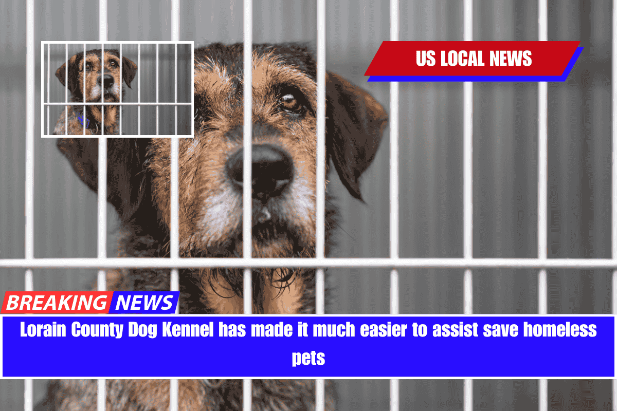 Lorain County Dog Kennel has made it much easier to assist save homeless pets