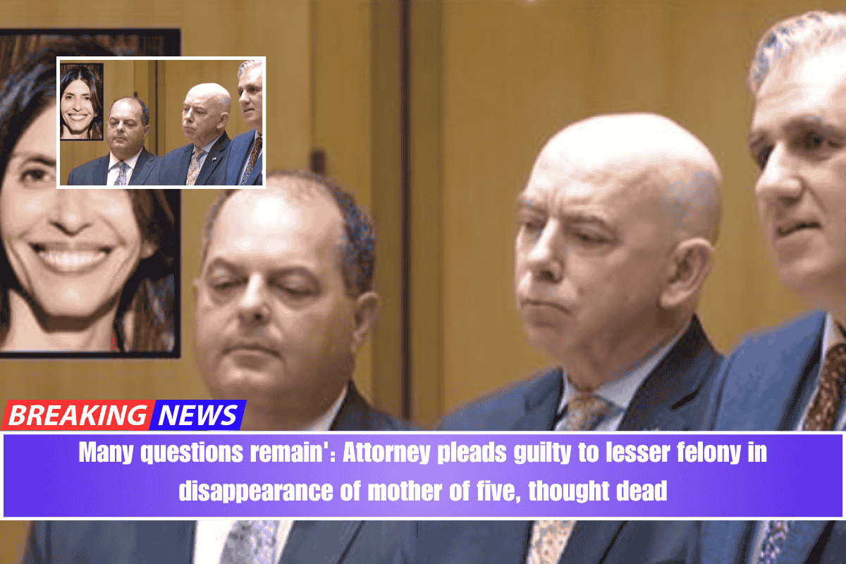 Many questions remain' Attorney pleads guilty to lesser felony in disappearance of mother of five, thought dead
