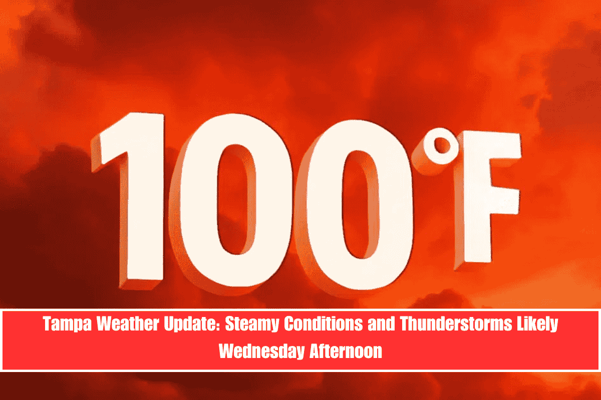 Tampa Weather Update Steamy Conditions and Thunderstorms Likely Wednesday Afternoon