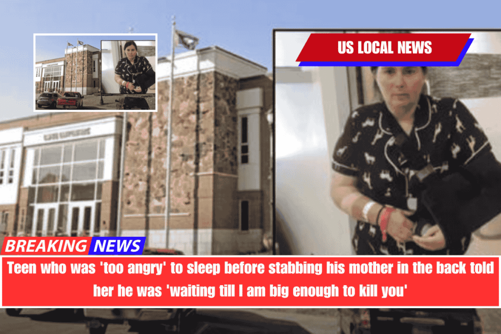 Teen who was 'too angry' to sleep before stabbing his mother in the back told her he was 'waiting till I am big enough to kill you'