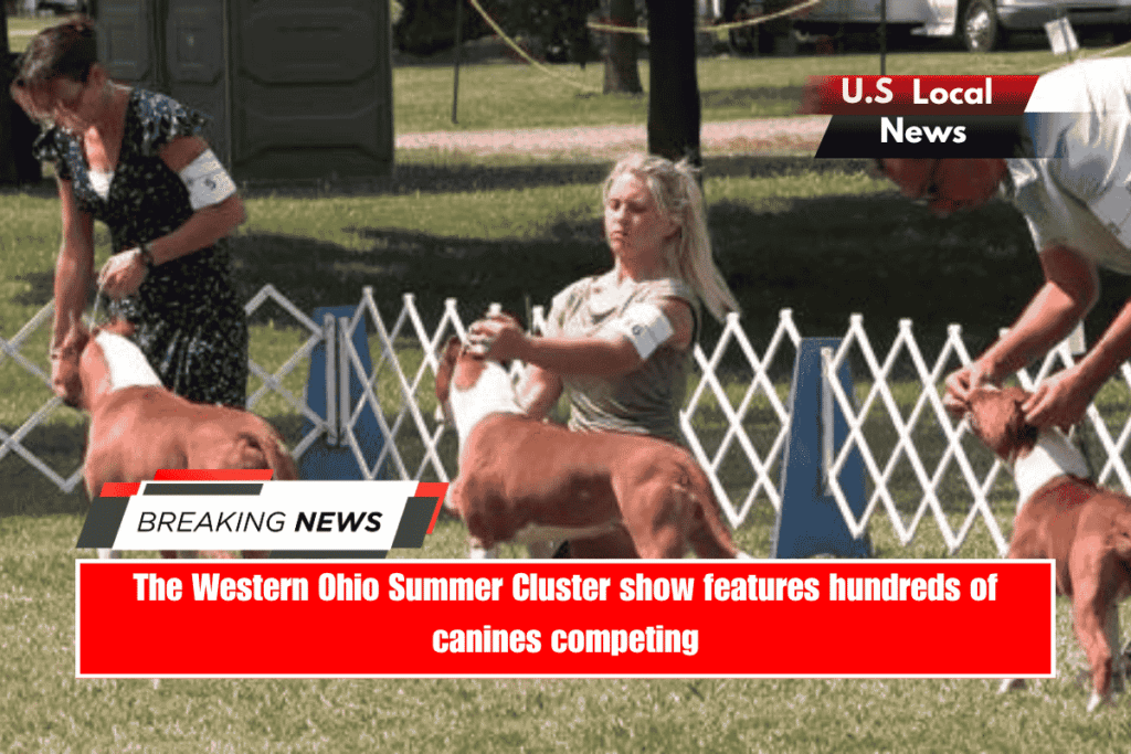 The Western Ohio Summer Cluster show features hundreds of canines competing