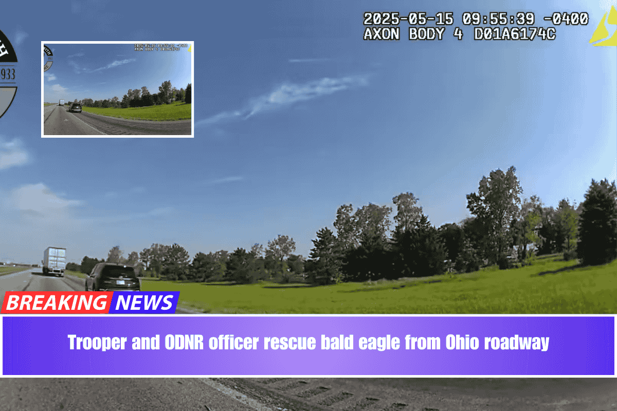 Trooper and ODNR officer rescue bald eagle from Ohio roadway