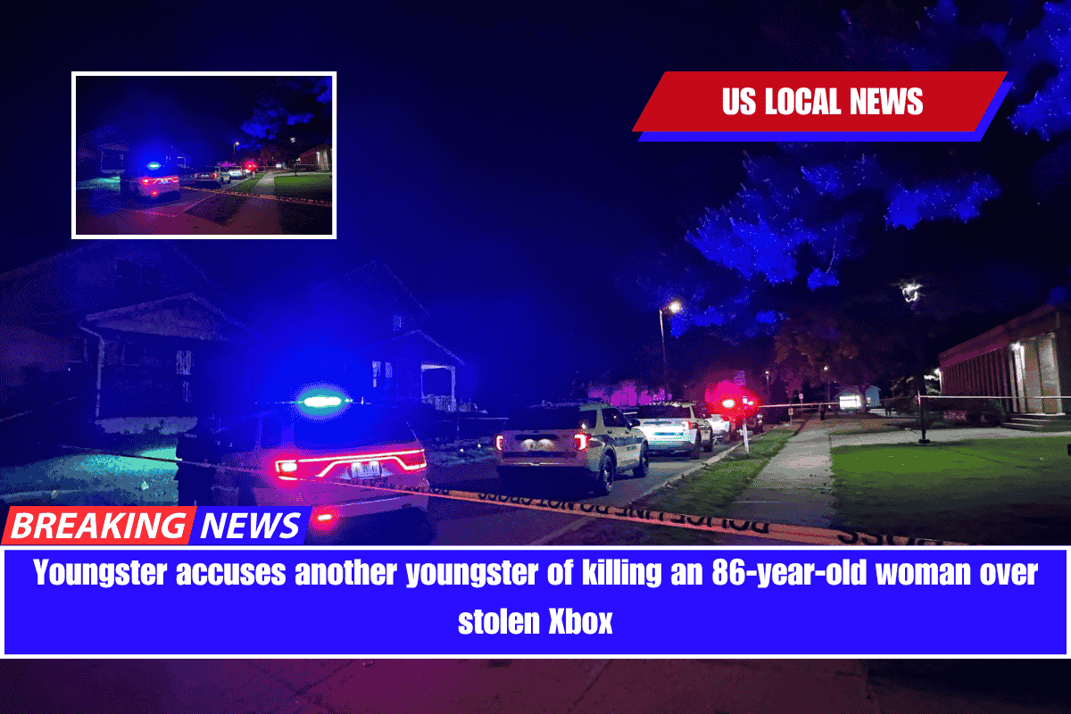 Youngster accuses another youngster of killing an 86-year-old woman over stolen Xbox