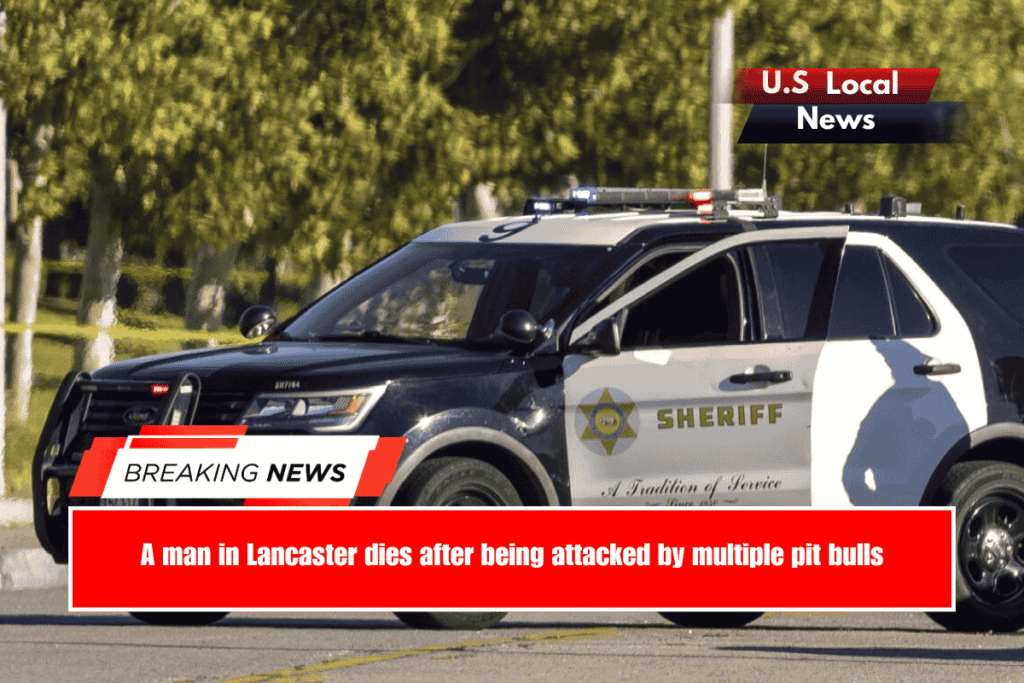 A man in Lancaster dies after being attacked by multiple pit bullsA man in Lancaster dies after being attacked by multiple pit bulls