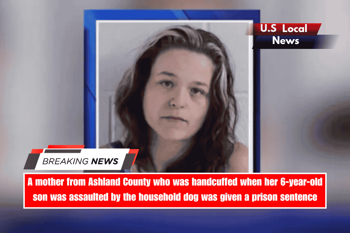 A mother from Ashland County who was handcuffed when her 6-year-old son was assaulted by the household dog was given a prison sentence