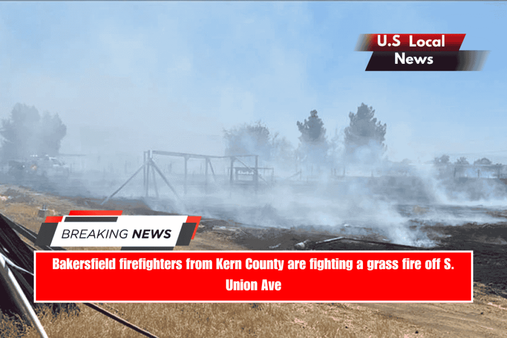 Bakersfield firefighters from Kern County are fighting a grass fire off S. Union Ave