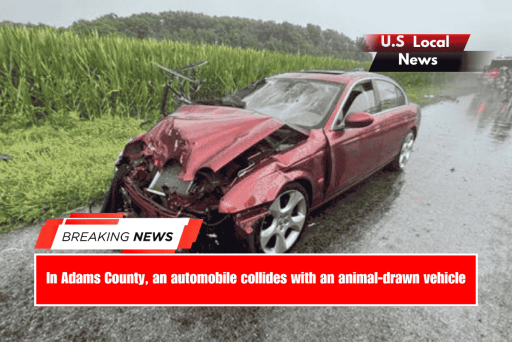 In Adams County, an automobile collides with an animal-drawn vehicle