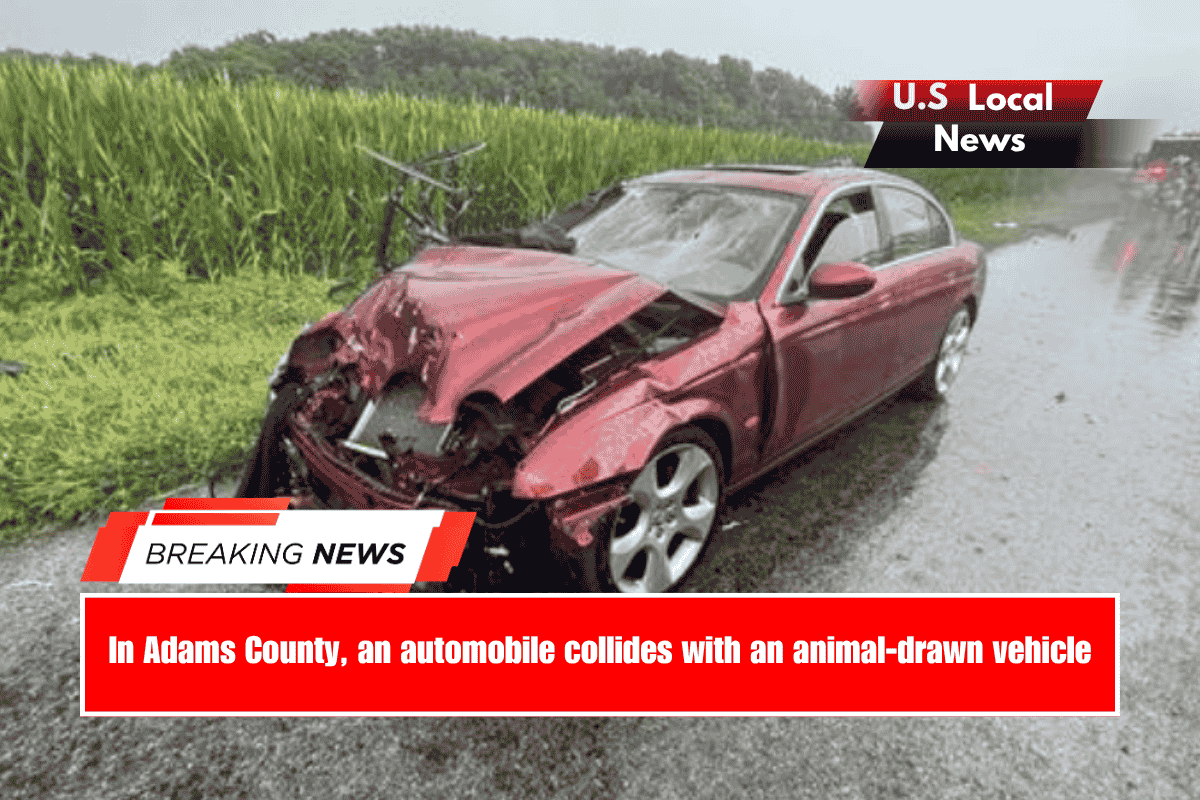 In Adams County, an automobile collides with an animal-drawn vehicle