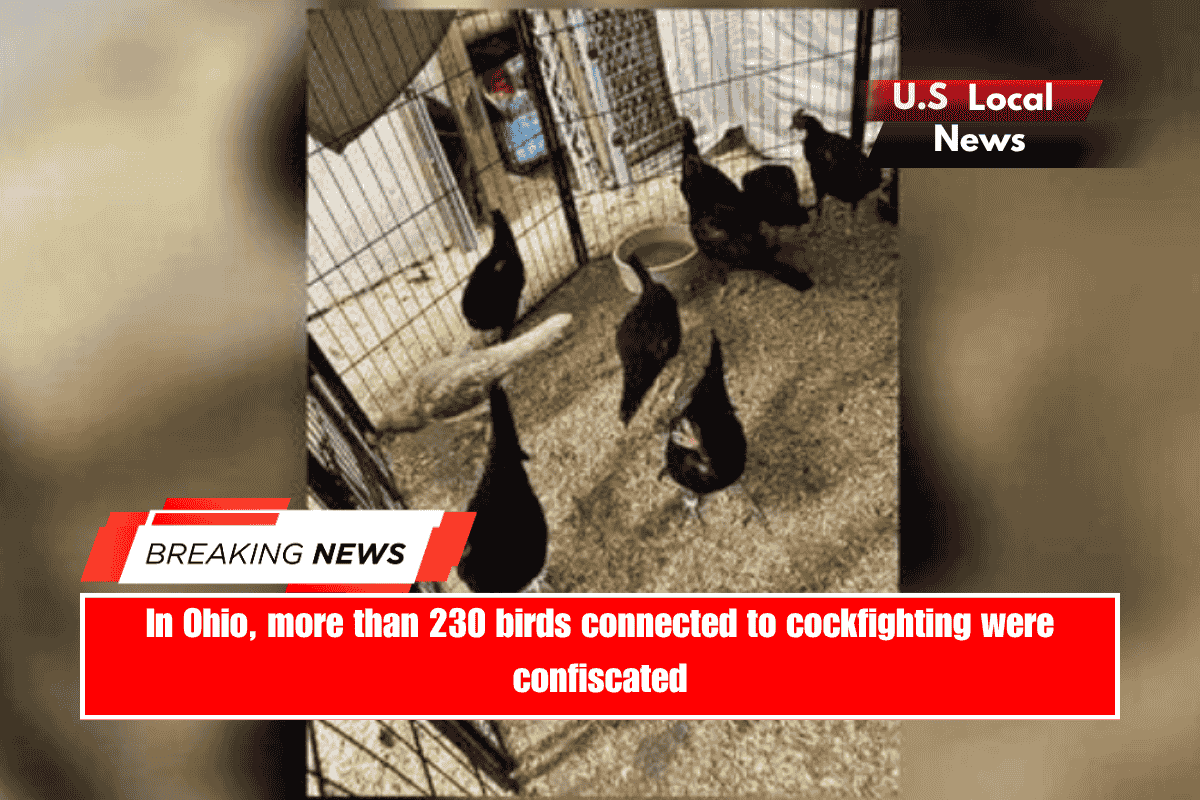 In Ohio, more than 230 birds connected to cockfighting were confiscated