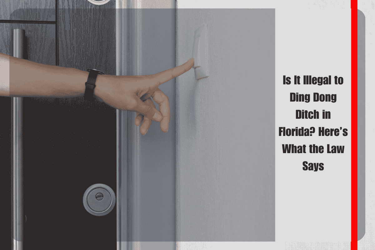 Is It Illegal to Ding Dong Ditch in Florida Here’s What the Law Says