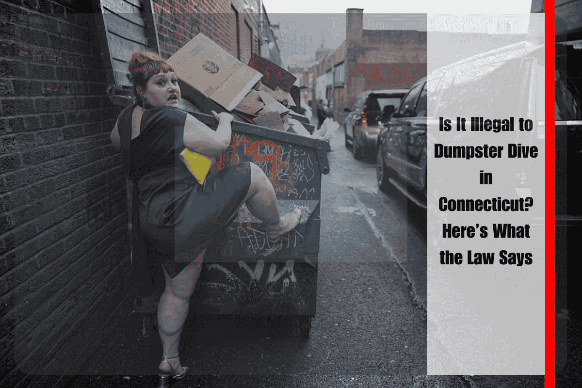 Is It Illegal to Dumpster Dive in Connecticut Here’s What the Law Says