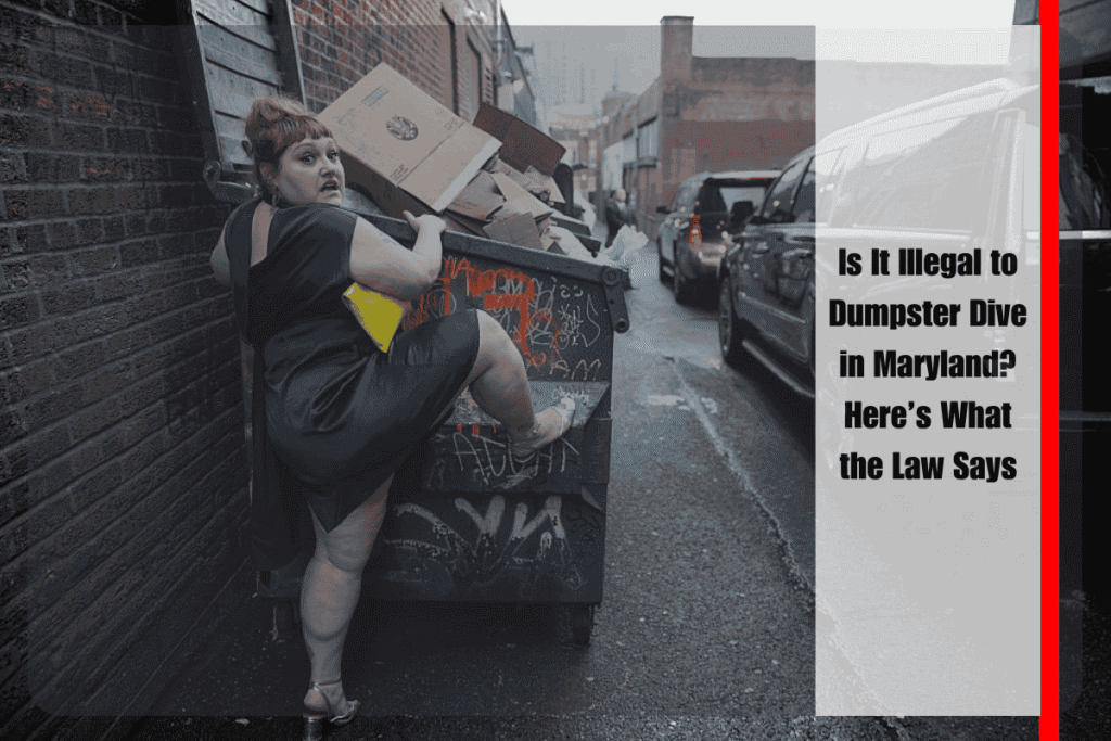 Is It Illegal to Dumpster Dive in Maryland Here’s What the Law Says