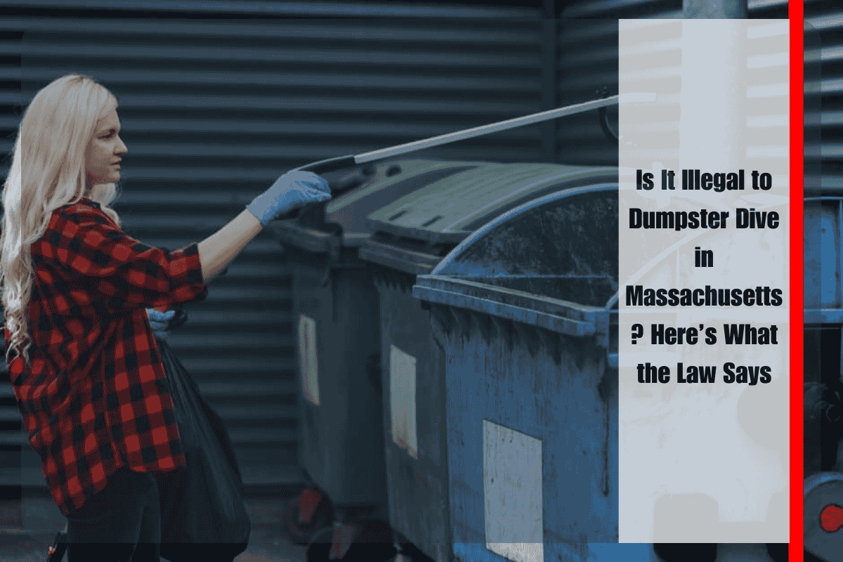 Is It Illegal to Dumpster Dive in Massachusetts Here’s What the Law Says