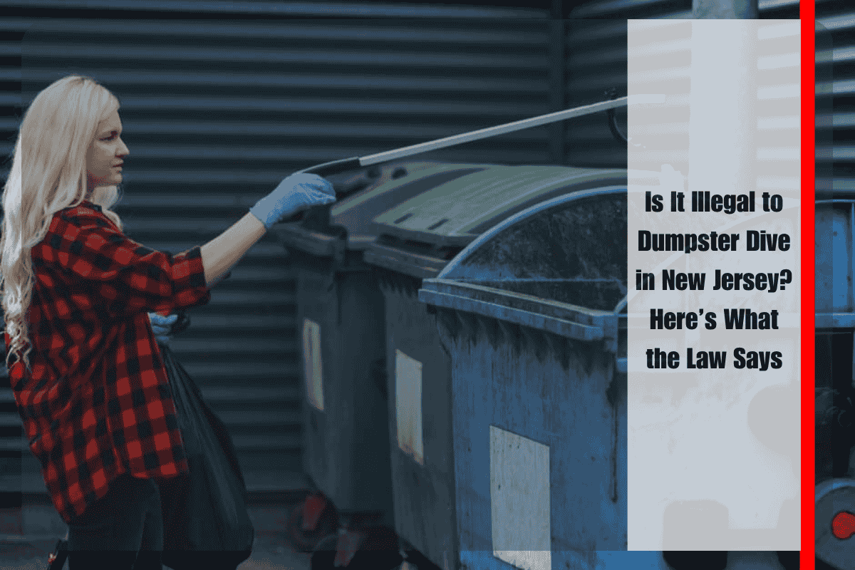 Is It Illegal to Dumpster Dive in New Jersey Here’s What the Law Says