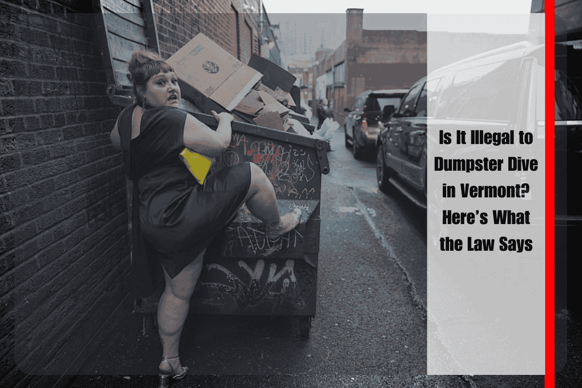Is It Illegal to Dumpster Dive in Vermont Here’s What the Law Says