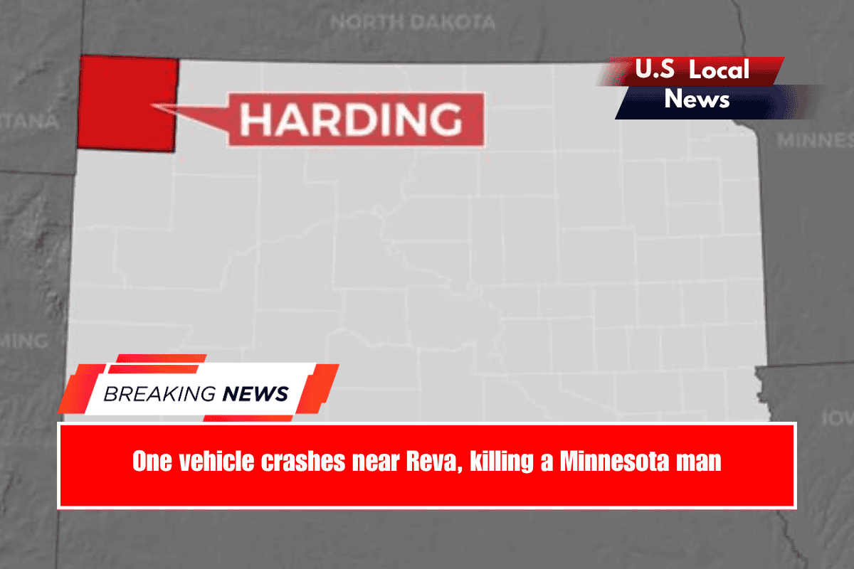 One vehicle crashes near Reva, killing a Minnesota man
