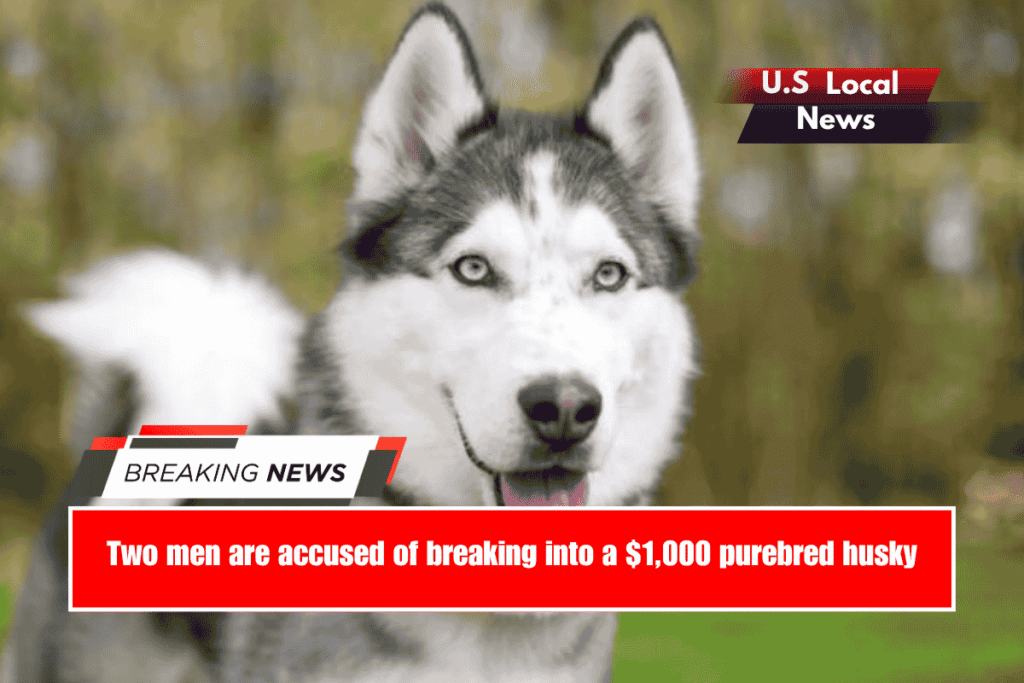 Two men are accused of breaking into a $1,000 purebred husky