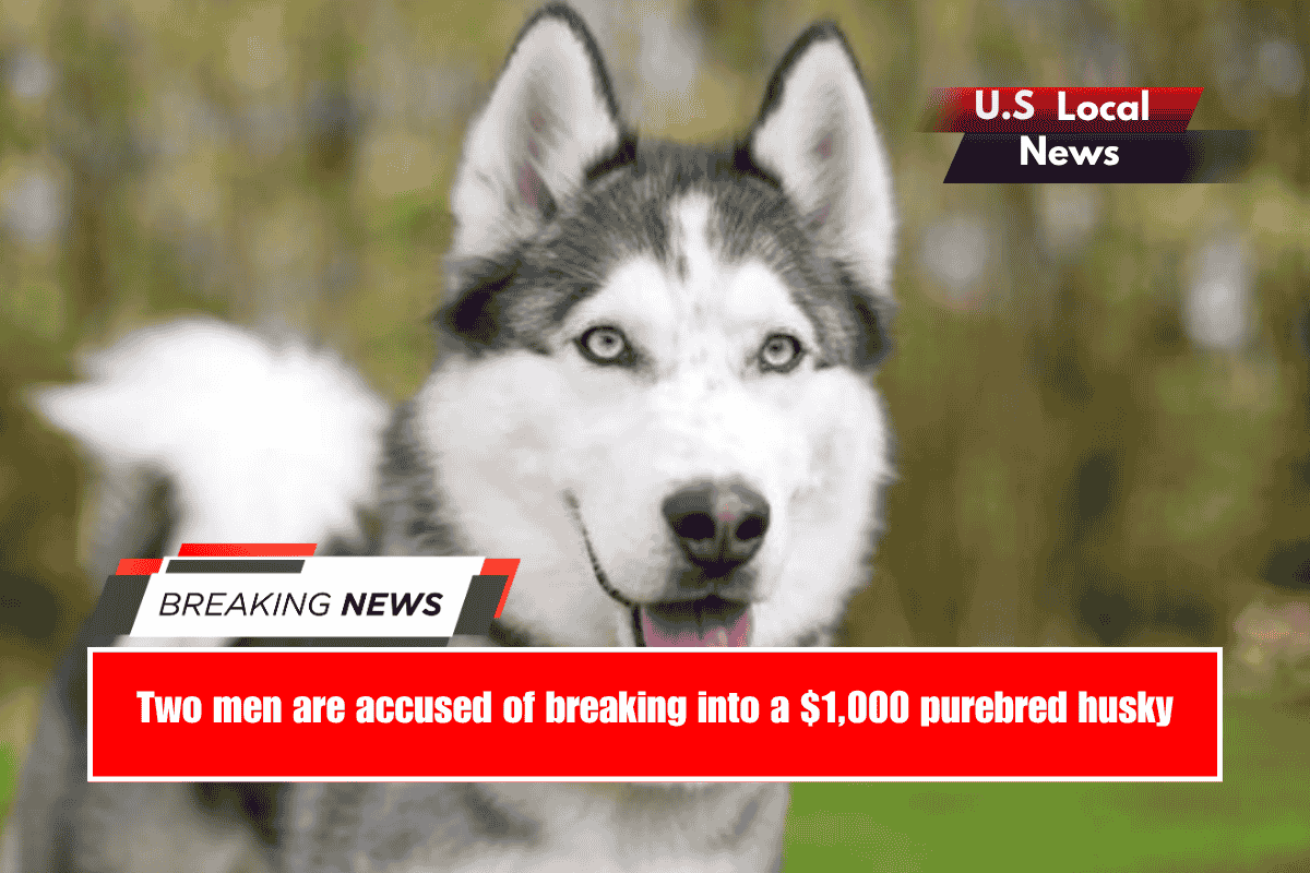 Two men are accused of breaking into a $1,000 purebred husky
