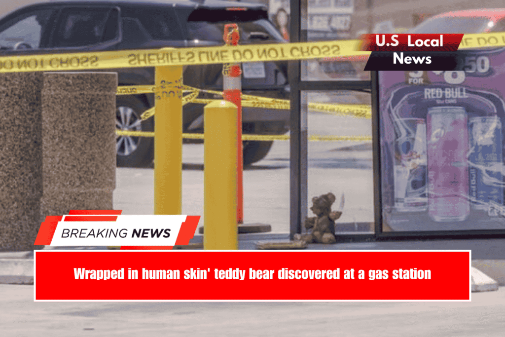 Wrapped in human skin' teddy bear discovered at a gas station