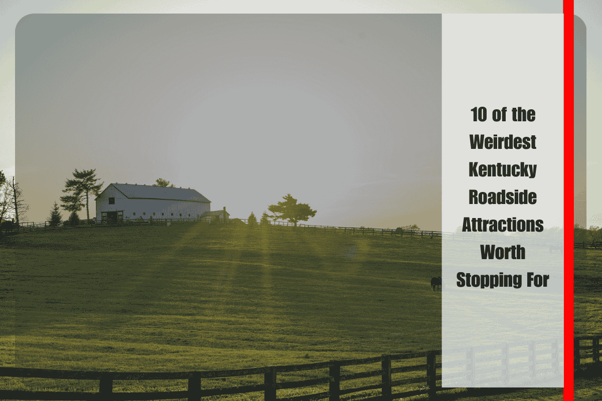 10 of the Weirdest Kentucky Roadside Attractions Worth Stopping For