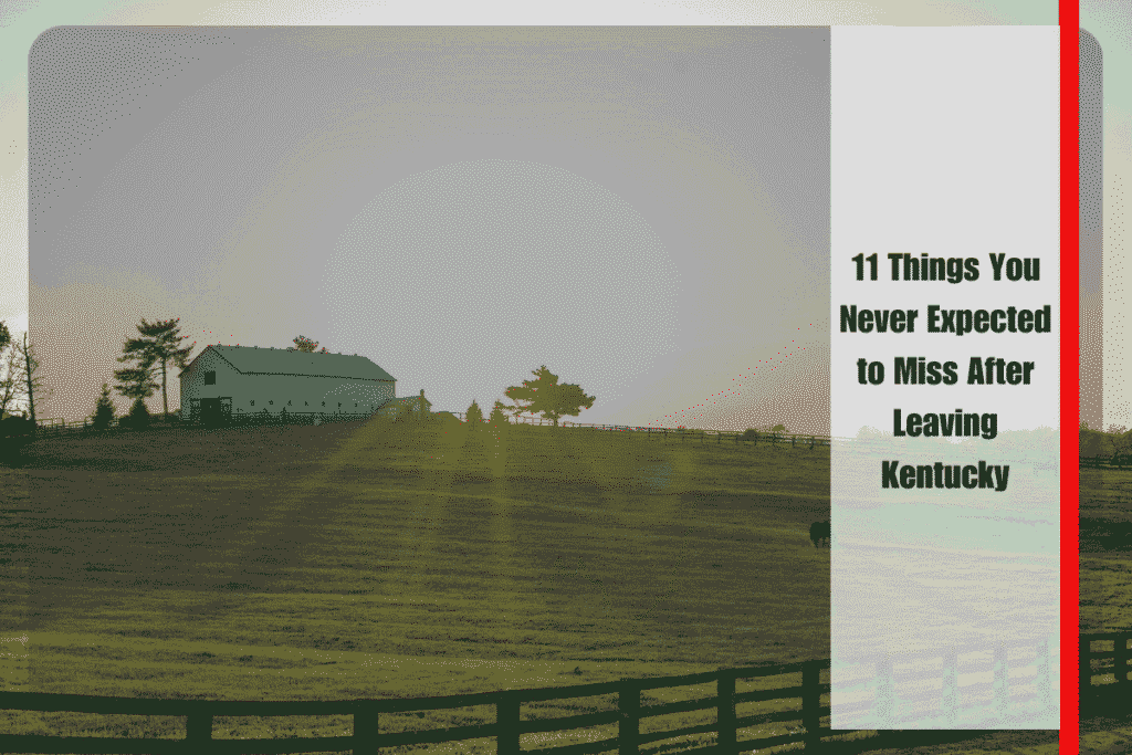 11 Things You Never Expected to Miss After Leaving Kentucky