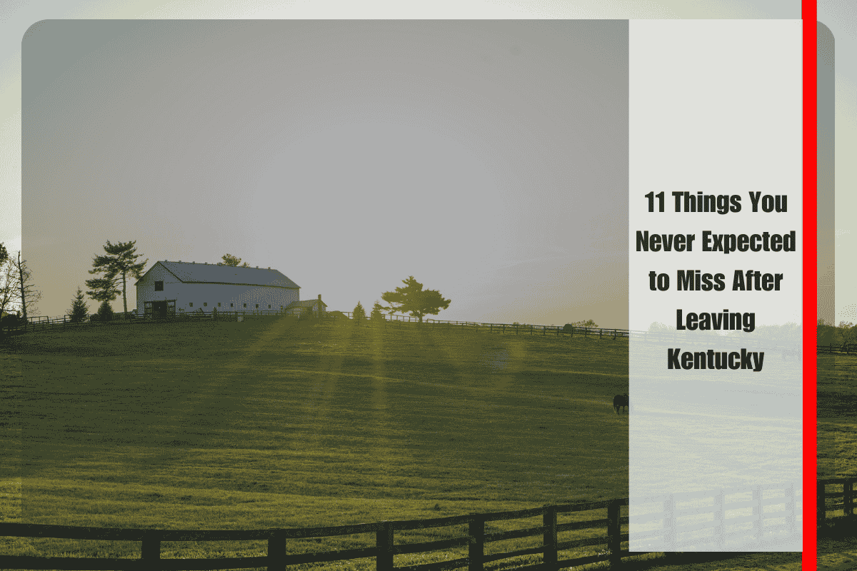 11 Things You Never Expected to Miss After Leaving Kentucky