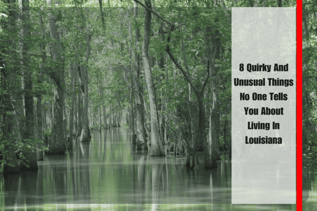 8 Quirky And Unusual Things No One Tells You About Living In Louisiana