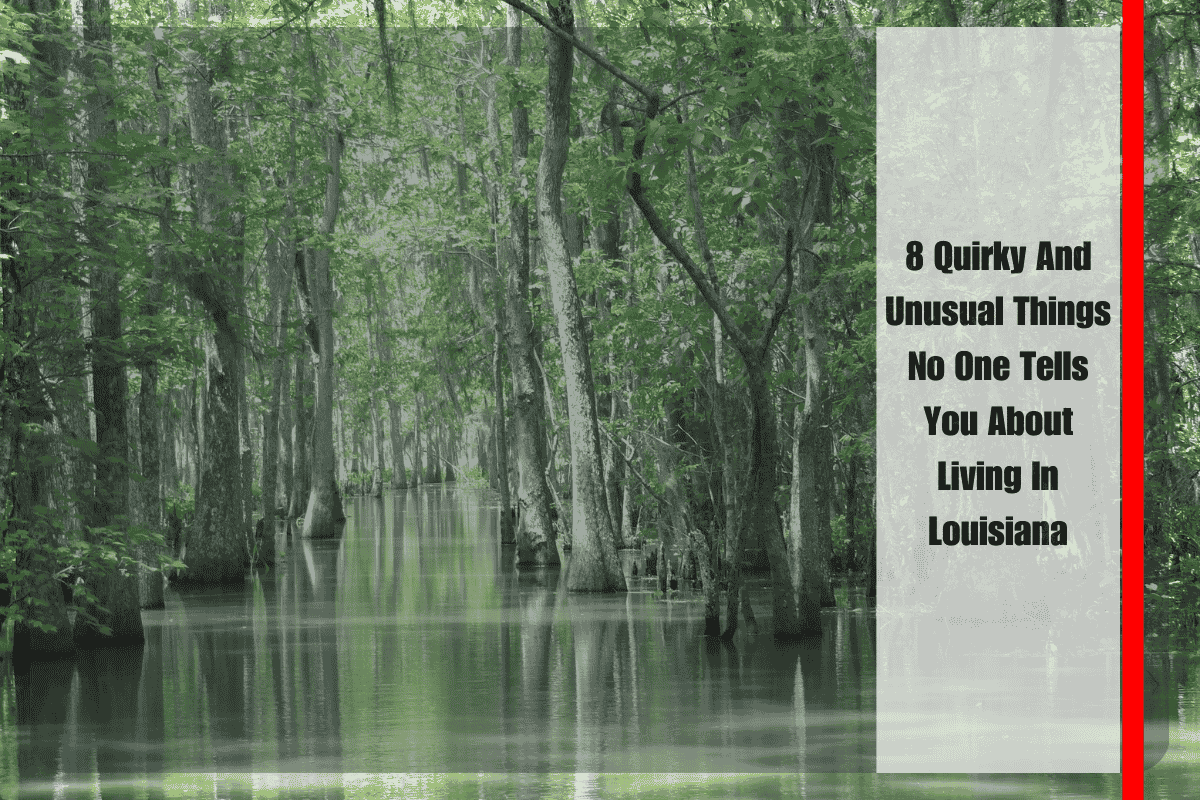 8 Quirky And Unusual Things No One Tells You About Living In Louisiana