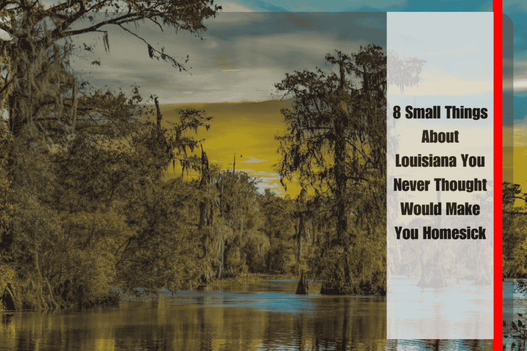 8 Small Things About Louisiana You Never Thought Would Make You Homesick