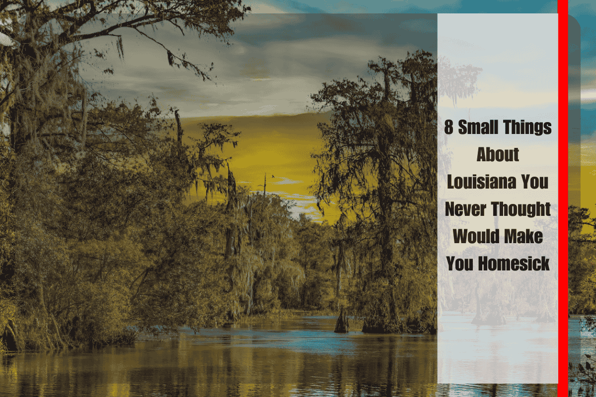 8 Small Things About Louisiana You Never Thought Would Make You Homesick